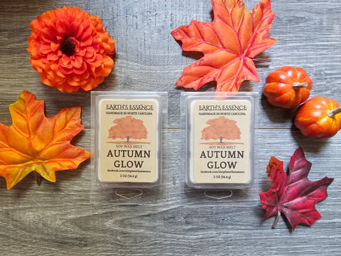 Autumn Glow 2 oz Soy Wax Melt