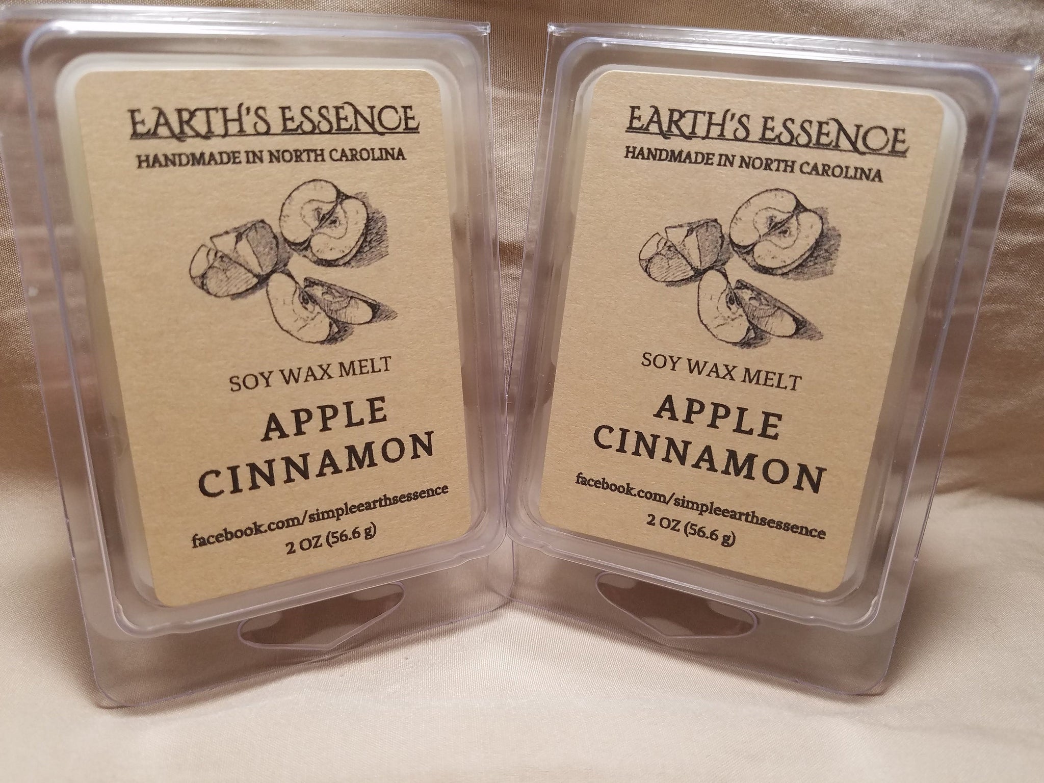 Apple Cinnamon 2 oz Soy Wax Melt