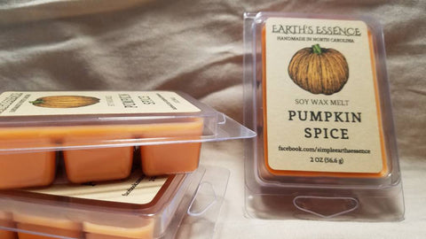 Pumpkin Spice 2 oz Soy Wax Melt
