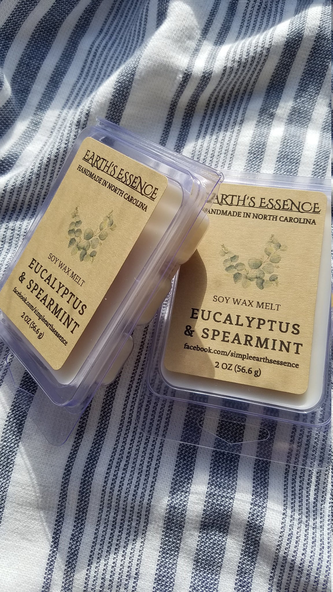 Eucalyptus & Spearmint 2 oz Soy Wax Melts