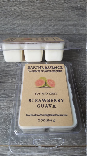 Strawberry Guava 2 oz Soy Wax Melts