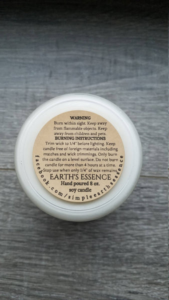 Fart 8 oz Soy Candle