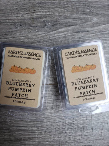 Blueberry Pumpkin Patch 2 oz Soy Wax Melt